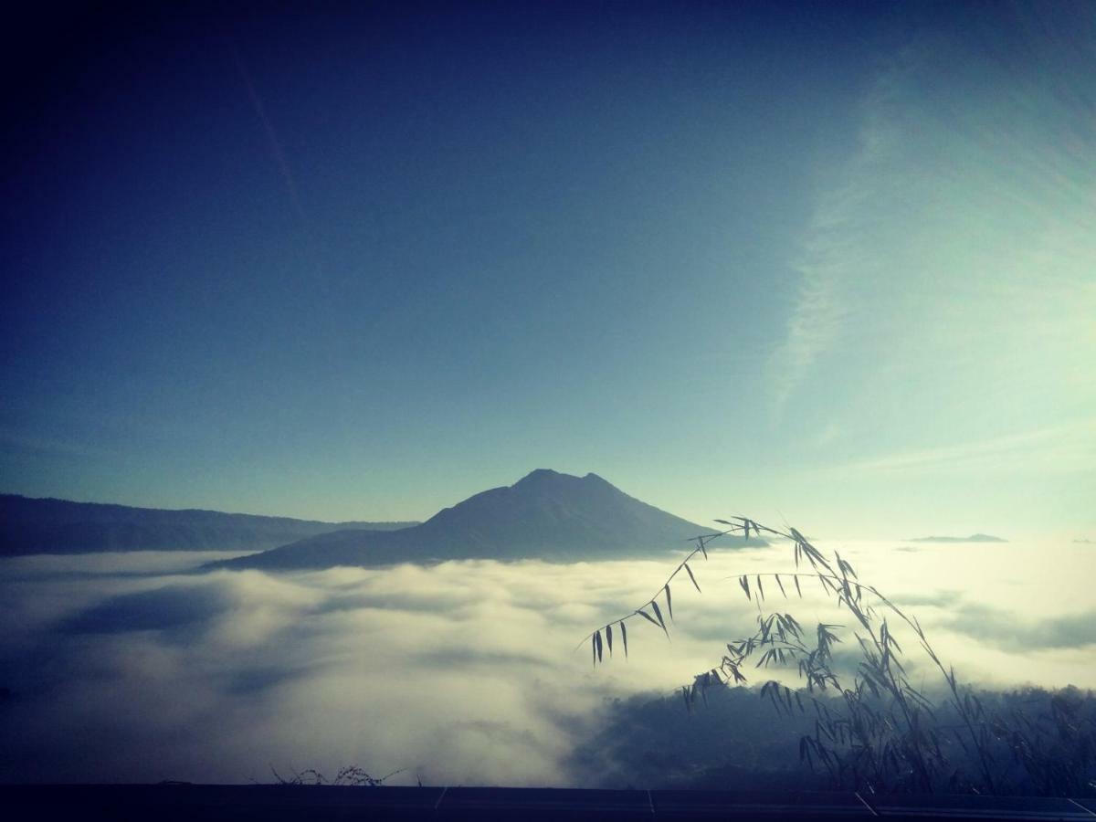 Batur View Homestay Kintamani Exterior foto